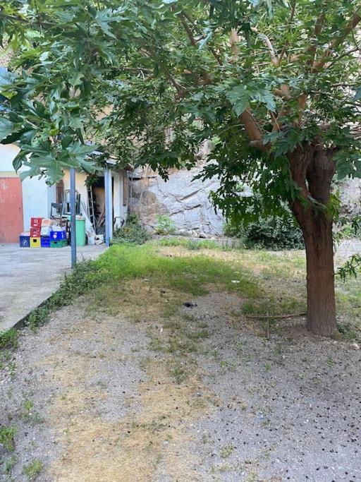 Appt 4 Pers Avec Jardin Ombrage En Centre Ville De Sète Eksteriør billede