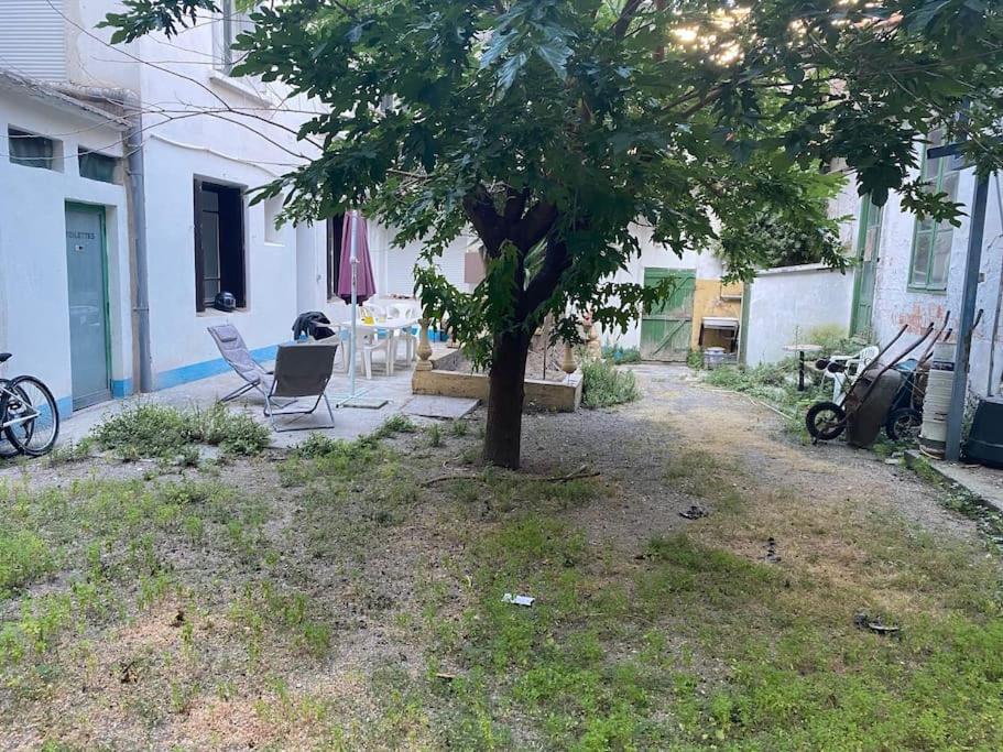 Appt 4 Pers Avec Jardin Ombrage En Centre Ville De Sète Eksteriør billede