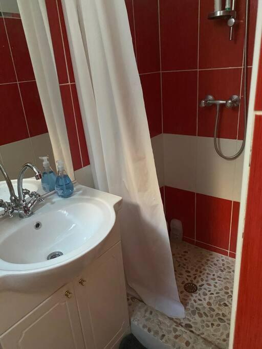Appt 4 Pers Avec Jardin Ombrage En Centre Ville De Sète Eksteriør billede